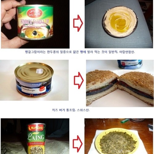 희한한 통조림들.jpg