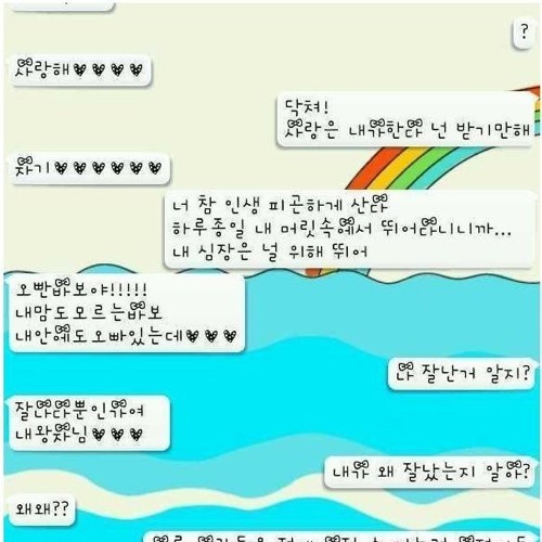 닥쳐! 사랑은 내가한다.jpg