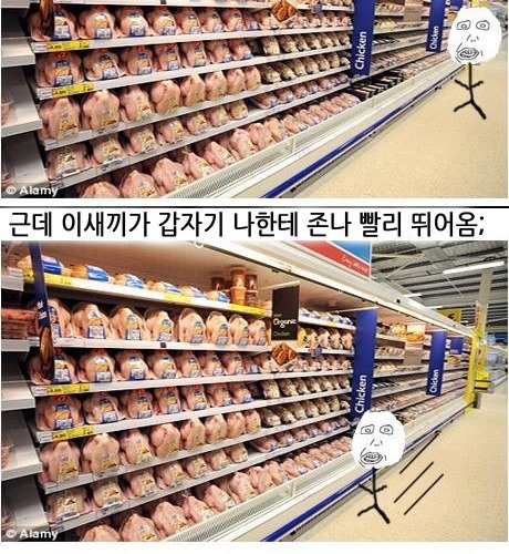 천조국성님의 무개념부모능욕