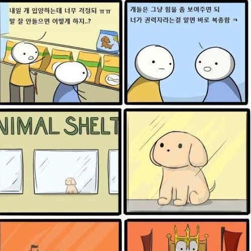 강아지 복종시키는법.jpg