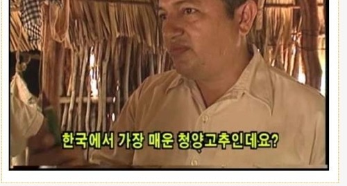 한국인이 매운걸 좋아한다고?.jpg