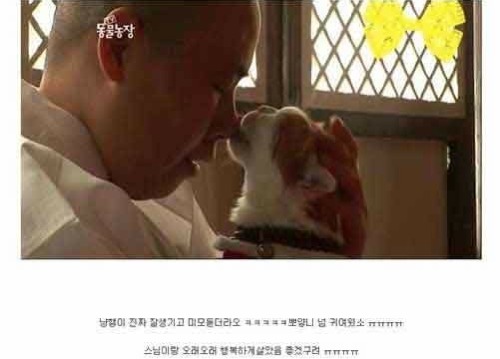 절에 사는 고양이.jpg