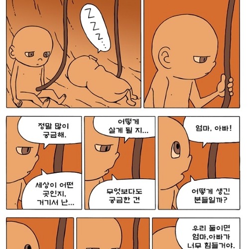 쌍둥이.jpg