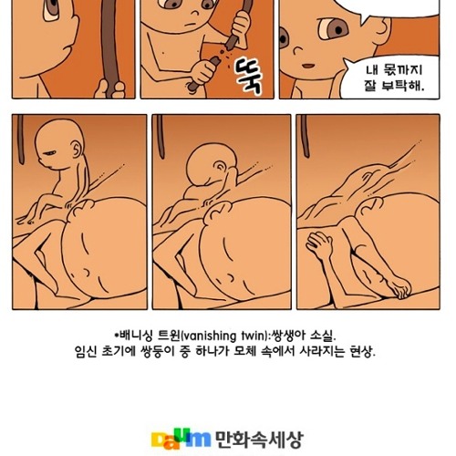 쌍둥이.jpg