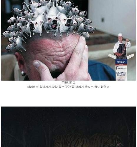 이색광고.jpg