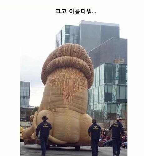 크고아름다워.jpg