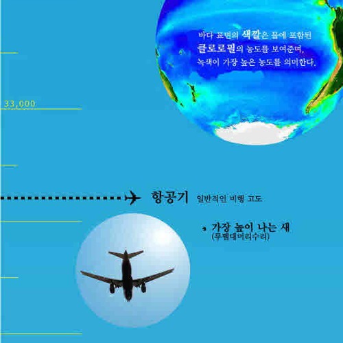 지구의 끝과 끝.jpg