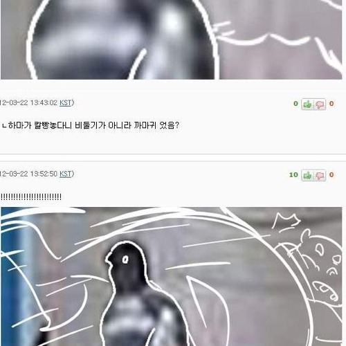 돌고래 보러온 비둘기.jpg