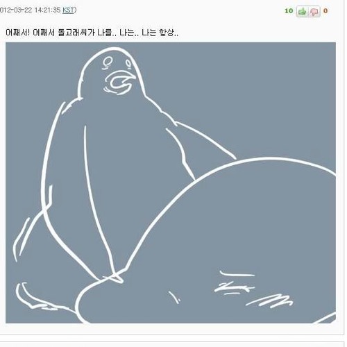 돌고래 보러온 비둘기.jpg