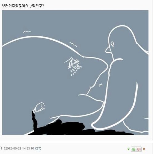 돌고래 보러온 비둘기.jpg