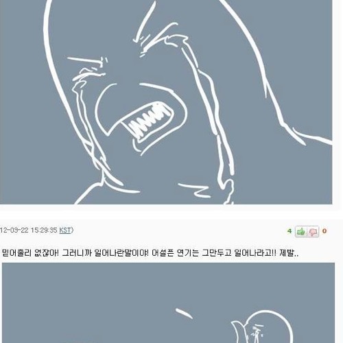 돌고래 보러온 비둘기.jpg