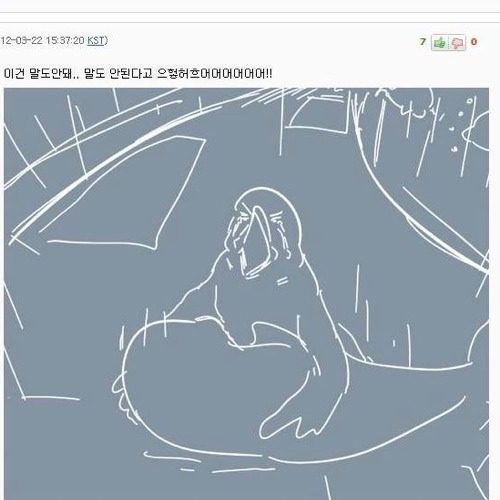 돌고래 보러온 비둘기.jpg