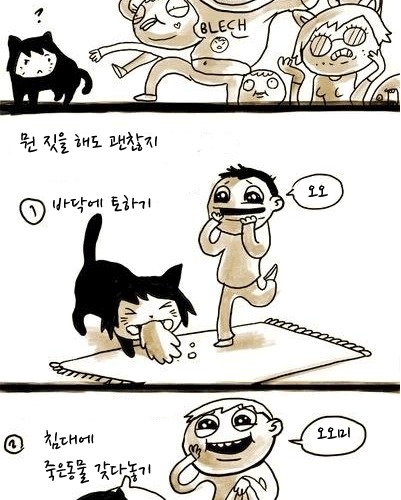 만약 고양이라면.jpg