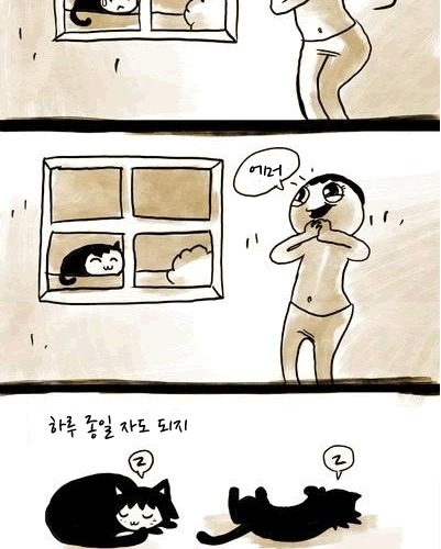 만약 고양이라면.jpg