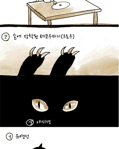 만약 고양이라면.jpg