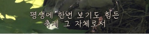 17년만의 출현