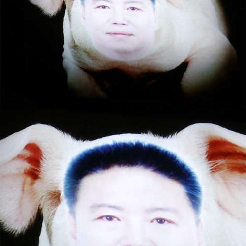 족발 잘팔리게생김.jpg