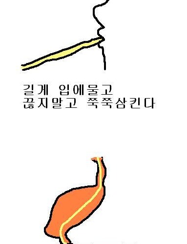 라면하나로 평생먹기.jpg