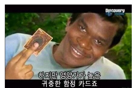 이글좀 봐주세요.jpg