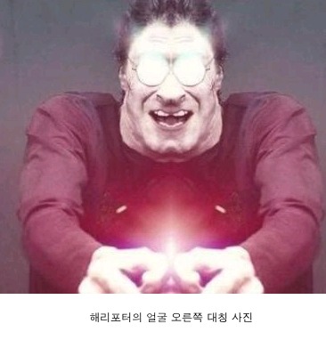 해리포터 얼굴대칭하기.jpg