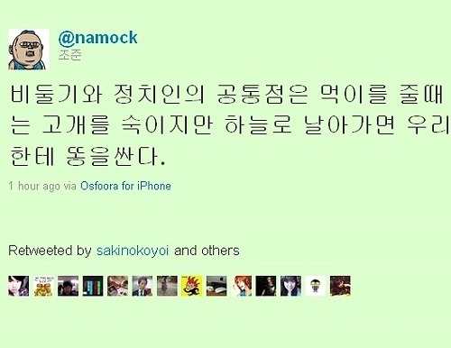 비둘기와 정치인의 공통점.jpg