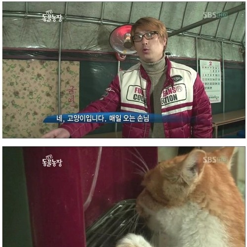 뻔돌이가 떡실신 하는 이유.jpg