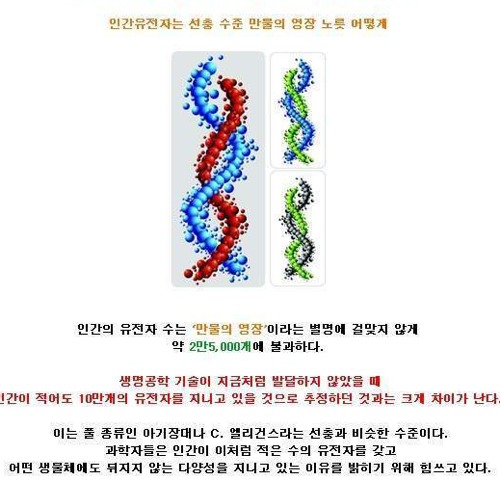 과학으로 풀지못한 난제 25