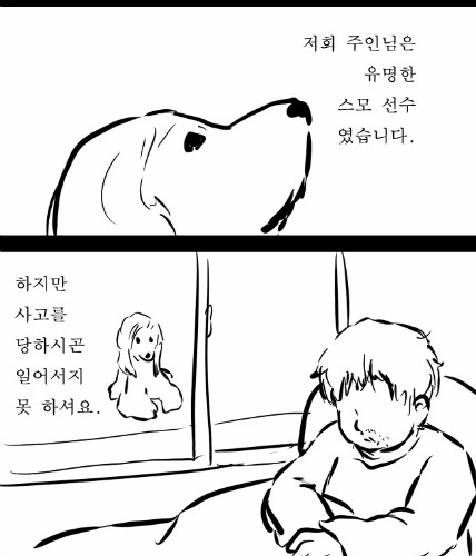 어느 스모선수이야기.jpg