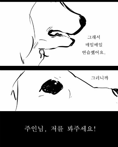 어느 스모선수이야기.jpg