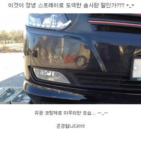 야매 도색의 달인.jpg