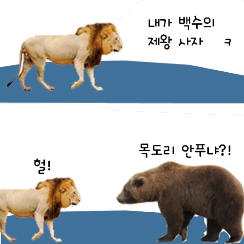 동물의 왕국.jpg