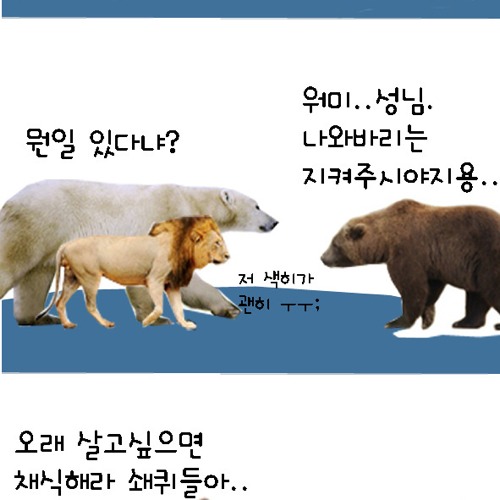 동물의 왕국.jpg