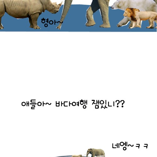 동물의 왕국.jpg