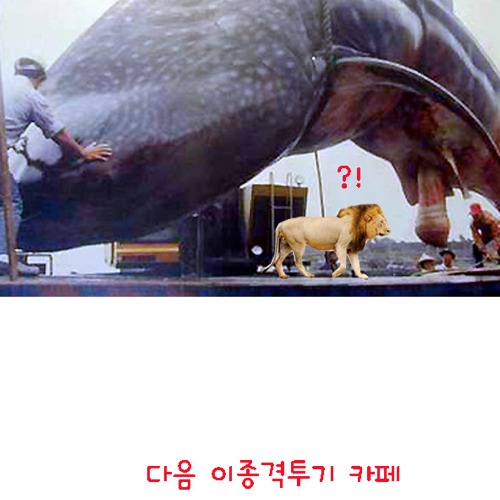 동물의 왕국.jpg