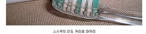 세계의 특이한맛 치약.jpg