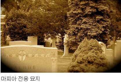 세계의 이색 공동묘지.jpg