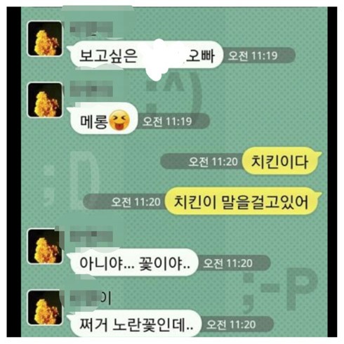 치갤러의 흔한착시.jpg