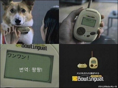 개번역기.jpg