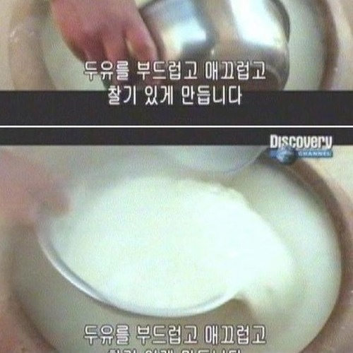 대륙의 두부.jpg