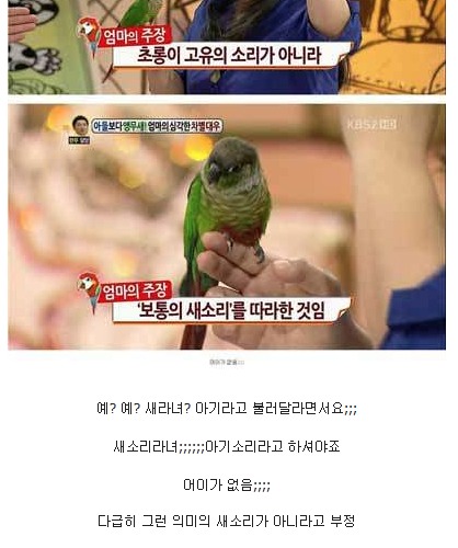 안녕하세요 새(Bird)엄마