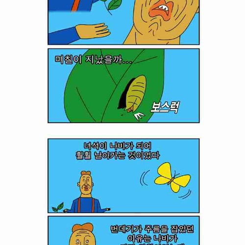 귀귀의 나비.jpg