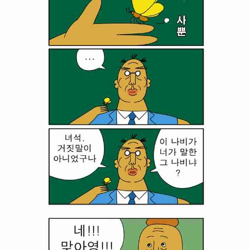 귀귀의 나비.jpg