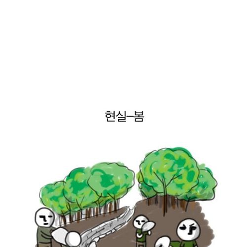 군대의 현실.jpg