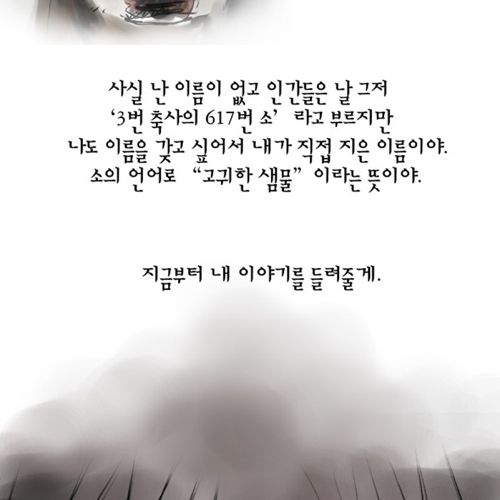 젖소 모아이나의 이야기.jpg