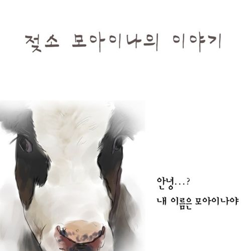 젖소 모아이나의 이야기.jpg