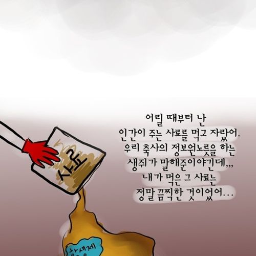 젖소 모아이나의 이야기.jpg