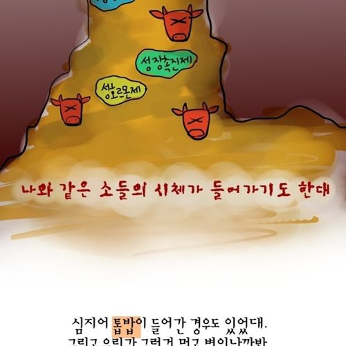 젖소 모아이나의 이야기.jpg