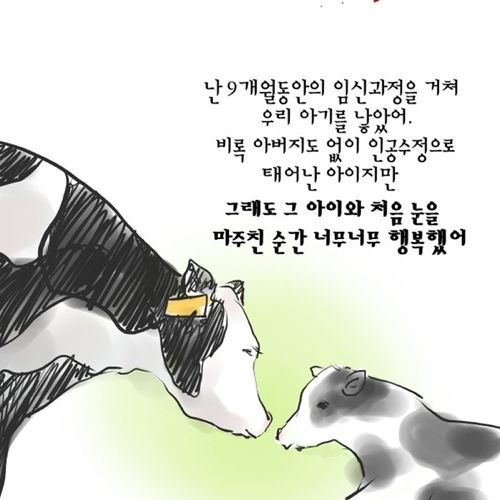 젖소 모아이나의 이야기.jpg