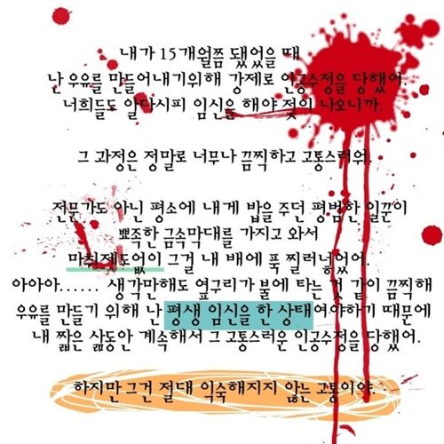 젖소 모아이나의 이야기.jpg