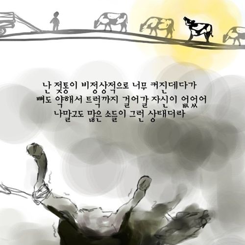 젖소 모아이나의 이야기.jpg